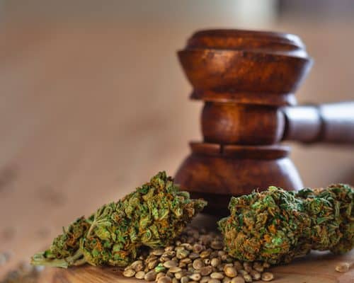 Cannabis Law