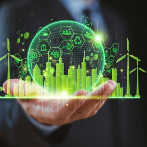 Net,Zero,Emissions,,Carbon,Credit,,Green,Business,Concept.,Finance,Money