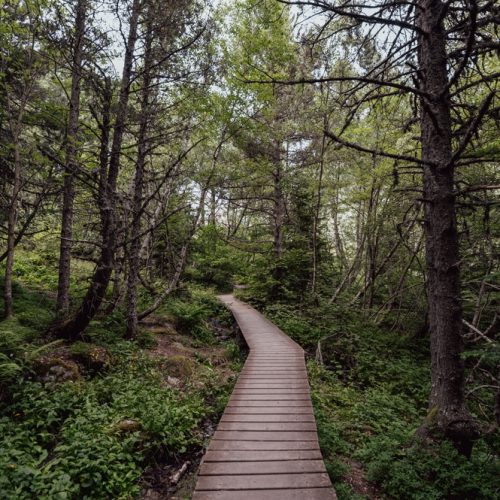 Path,Towards,The,Cascade,Of,The,Gerber,Or,Comales,Jump