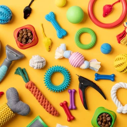 Pet,Care,Concept,,Various,Pet,Accessories,And,Tools,,Toys,,Balls,