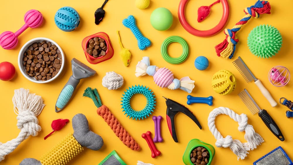 Pet,Care,Concept,,Various,Pet,Accessories,And,Tools,,Toys,,Balls,