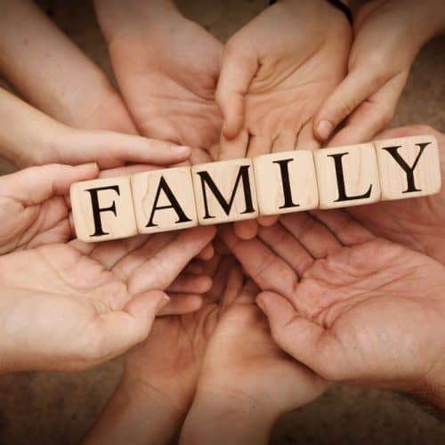 Team,Holding,Building,Blocks,Spelling,Out,"family"