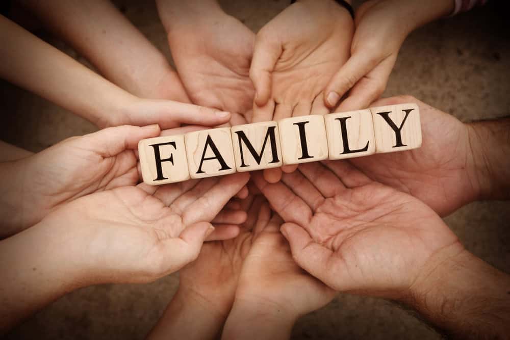 Team,Holding,Building,Blocks,Spelling,Out,"family"