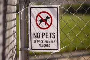 Do I Have to Let That Animal into My Business? ADA Rules for Service Animals (On-Demand)