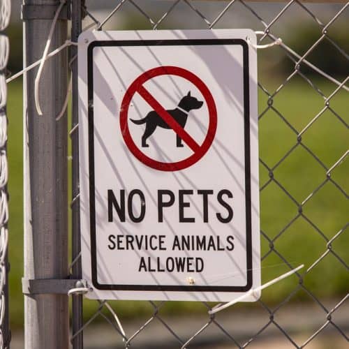 Do I Have to Let That Animal into My Business? ADA Rules for Service Animals (On-Demand)