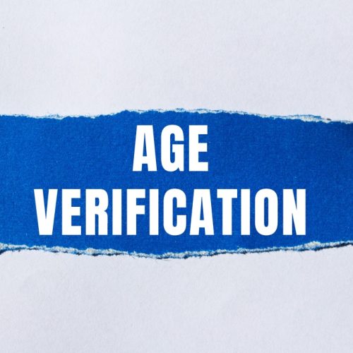 Building Age Verification Systems: Compliance Strategies and Defenses (On-Demand)